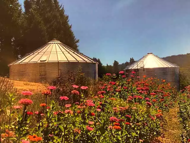 Two corrugated steel tanks with roofs and ladders installed in a field of flowers